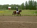 6 juni -09 021.jpg