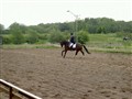 6 juni -09 022.jpg