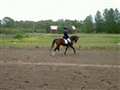 6 juni -09 026.jpg