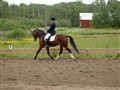 6 juni -09 030.jpg
