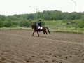 6 juni -09 033.jpg
