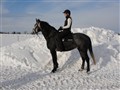 DSC01269.JPG