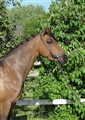DSC01598.JPG